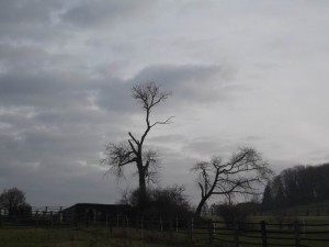 Grey Sky and lack of Colors in Greymany
