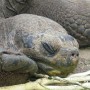 Thumbnail - Galapagos Islands, Ecuador