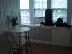 My Backpack in my empty Apartment My Backpack in my empty Apartment
