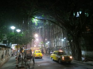 Foggy Evening Walk in Kolkata, India Foggy Evening Walk in Kolkata, India