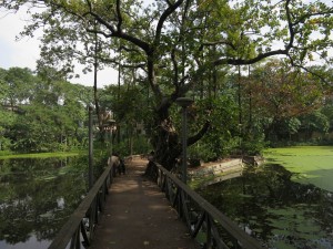 Rabindra Bharati Lake in Kolkata, India Rabindra Bharati Lake in Kolkata, India