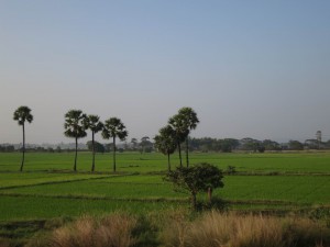 Countryside in Andra Pradesh, India Countryside in Andra Pradesh, India