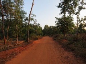 Dusty-Red-Dirt-Road of Auroville, India Dusty-Red-Dirt-Road of Auroville, India