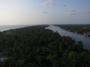 Beauty of the Palm-Tree Peninsula Beauty of the Palm-Tree Peninsula