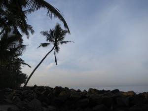 Sunrise in Amritapuri after Shivaratri Sunrise in Amritapuri after Shivaratri