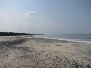 Empty Dolphin Beach by Amritapuri Empty Dolphin Beach by Amritapuri