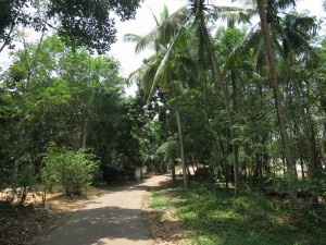 Walking to the Sivananda Lions Park Walking to the Sivananda Lions Park