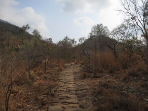 Arunachala walk to Ramana Caves Arunachala walk to Ramana Caves