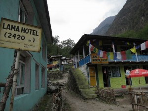 Tourist Village of Langtang, Lama Hotel Tourist Village of Langtang, Lama Hotel
