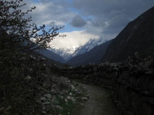 Finally, Snow Peaks by Langtang Village Finally, Snow Peaks by Langtang Village
