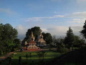 My Ego also liked the Garden in the early morning My Ego also liked the Garden in the early morning