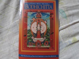 Eight Verses of Thought Transformation Eight Verses of Thought Transformation