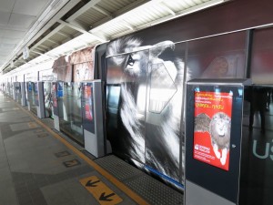 Lion on the Train matching Lion in the Commercials on the Screens Lion on the Train matching Lion in the Commercials on the Screens