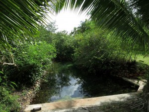 Natural Hot Spring to use during Vipassana at Wat Suan Mokkh in Thailand Natural Hot Spring to use during Vipassana at Wat Suan Mokkh in Thailand