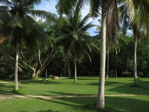 Vipassana Meditation in Sunny Conditions, Wat Suan Mokkh Vipassana Meditation in Sunny Conditions, Wat Suan Mokkh