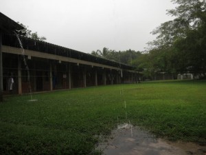 Weather Changes to Rain at Wat Suan Mokkh Weather Changes to Rain at Wat Suan Mokkh