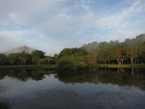 Stillness during Vipassana Retreat Day at Wat Suan Mokkh Stillness during Vipassana Retreat Day at Wat Suan Mokkh