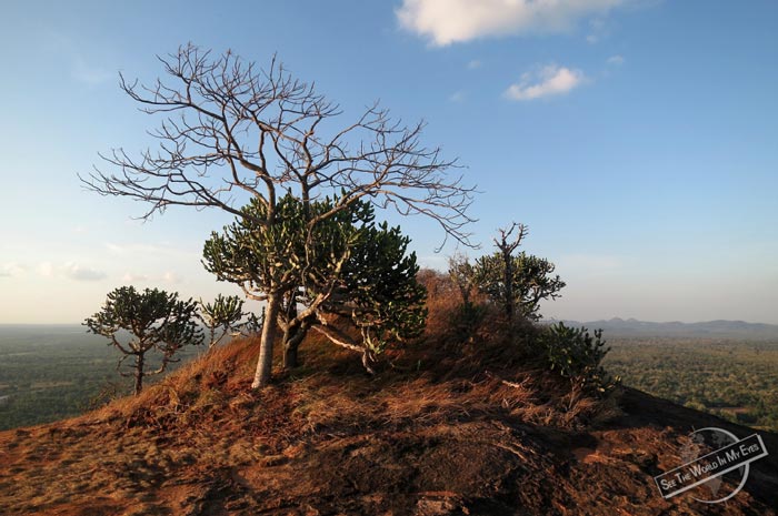 Atop Pidurangala Rock by Sigiriya, Sri Lanka Atop Pidurangala Rock by Sigiriya, Sri Lanka
