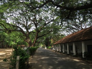 Shady Lanes inside Fort Frederick in Trincomalee, Sri Lanka Shady Lanes inside Fort Frederick in Trincomalee, Sri Lanka