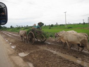 Wooden Ox-carts on the way to Shwebo, Myanmar Wooden Ox-carts on the way to Shwebo, Myanmar