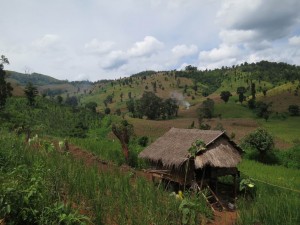 Hike to the Palaung Hill Tribe Village in Myanmar Hike to the Palaung Hill Tribe Village in Myanmar