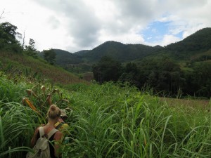 Adventurous Hike through the Fields by Hsipaw, Myanmar Adventurous Hike through the Fields by Hsipaw, Myanmar