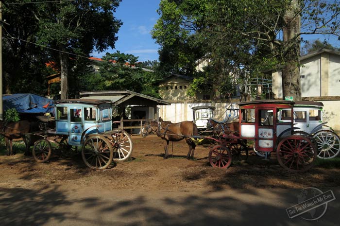 Classical Horse Buggies in Pyin Oo Lwin, Myanmar Classical Horse Buggies in Pyin Oo Lwin, Myanmar