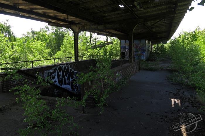 Overgrown Station Platform of the Siemensbahn in Berlin, Germany Overgrown Station Platform of the Siemensbahn in Berlin, Germany