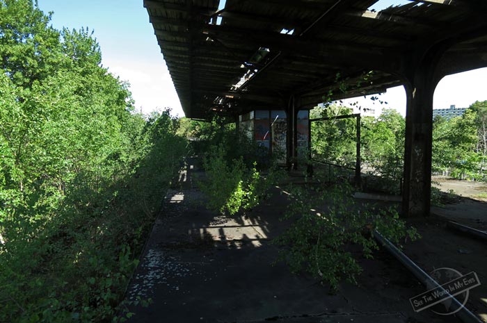 Abandoned S-Bahn Platform in Siemensstadt, Berlin, Germany Abandoned S-Bahn Platform in Siemensstadt, Berlin, Germany
