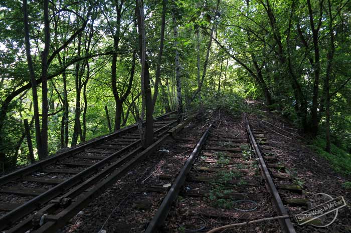 Double Rails of the Siemensbahn on a Forested Dam in Berlin, Germany Double Rails of the Siemensbahn on a Forested Dam in Berlin, Germany
