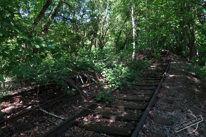 Completely Overgrown Tracks of the Siemesbahn in Berlin, Germany Completely Overgrown Tracks of the Siemesbahn in Berlin, Germany